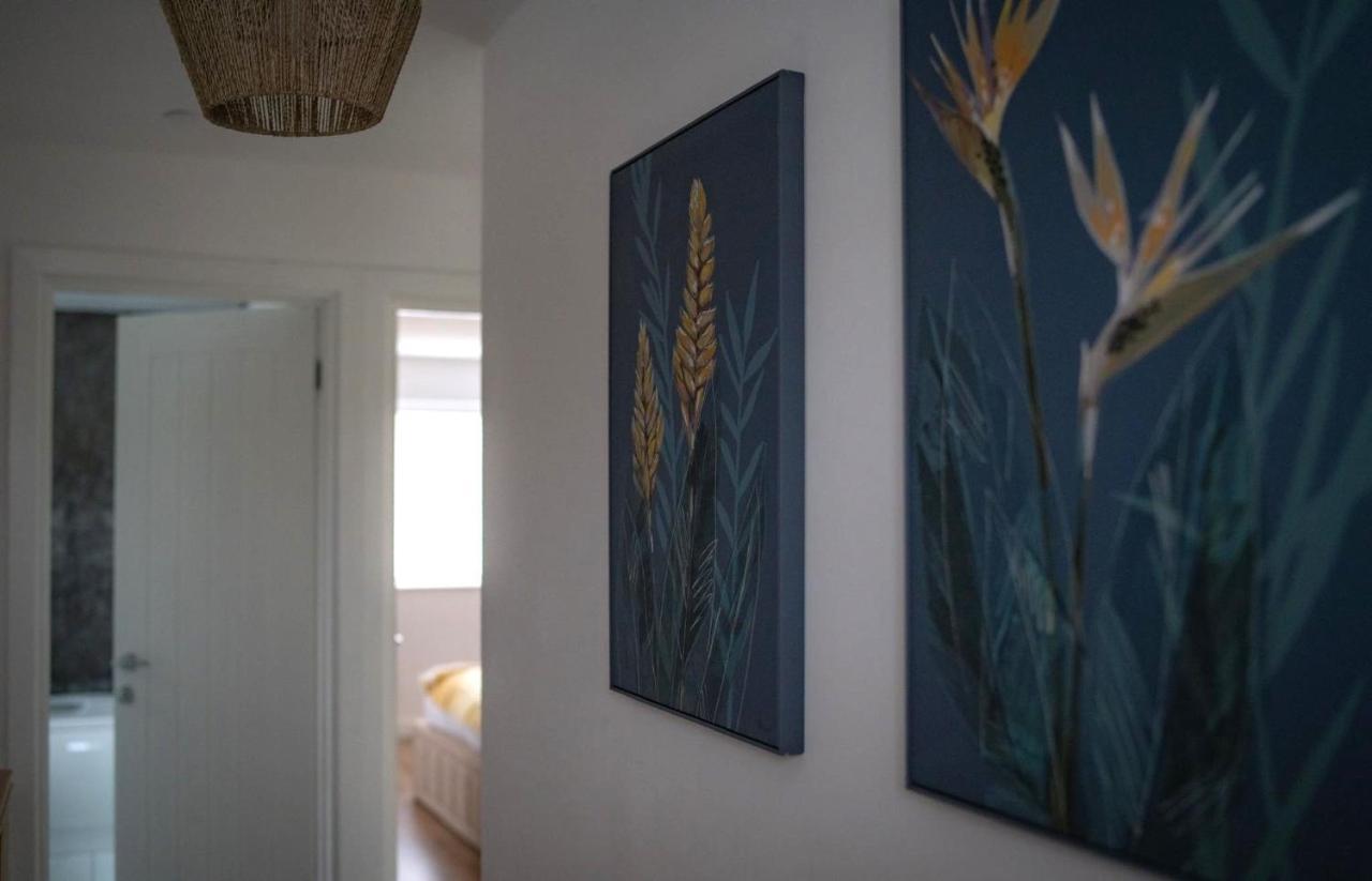 The Red House Modern Stylish Home From Home Walking Distance To Cardiff Bay And City Centre With Parking 外观 照片